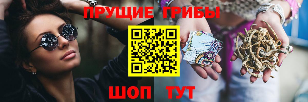 Псилоцибиновые грибы прущие грибы Борзя